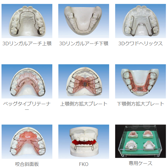 患者説明用模型<<販売終了>>