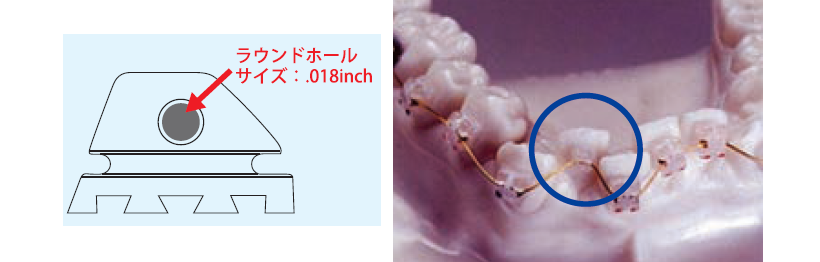 使用例