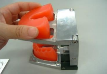 3. Insert Wax Form into the upper / lower frames. Hold the basal portion of the Wax Form and insert slowly from the anterior side (see photo). Holding the cervical area may cause deformation.
* Mandible Wax Form is already set in the picture.