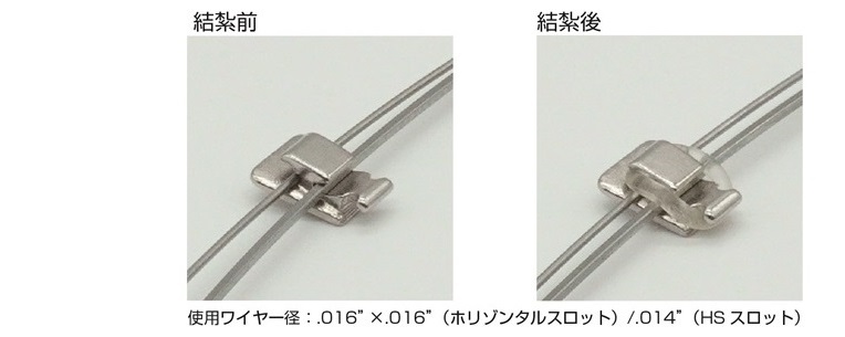 サイズ